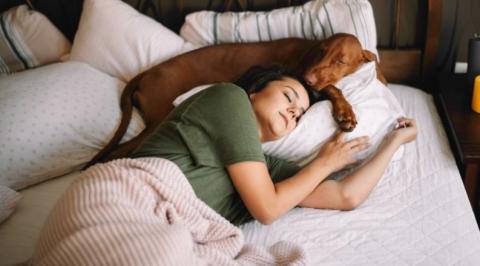 Woman with pillow and dog sleeping